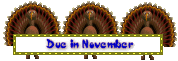 due11.gif image by imcilley