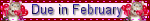 febdue.gif image by imcilley